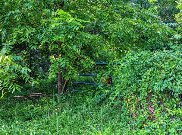 632 N Cherokee Street, Jonesborough, TN 37659