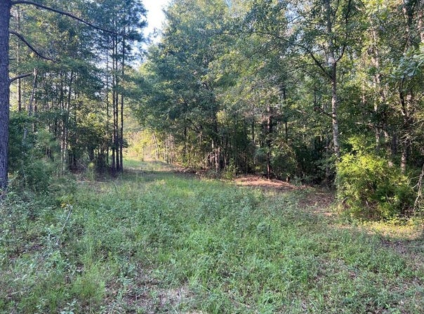 53 Hwy, Clayton, AL 36016