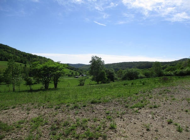 Horse Run Road, Shinglehouse, PA 16748