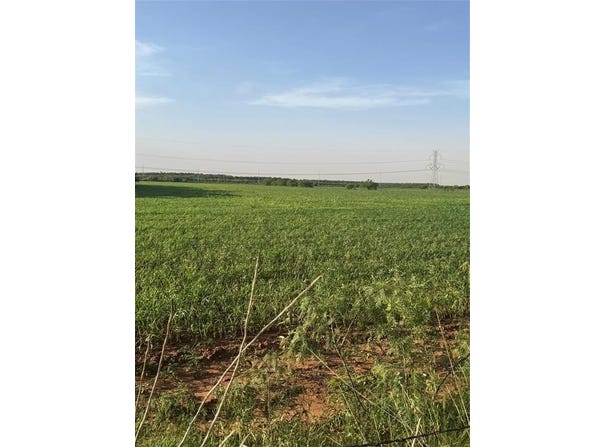 Tbd 25 Acres County Road 368, Trent, TX 79561
