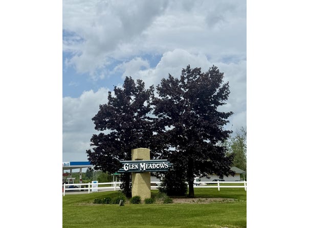 Glen Woods Trail unit: 45, Gaylord, MI 49735
