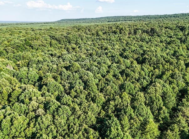 0 0 SE Rocky Rd/Ball Rd, Bradford, AR 72020