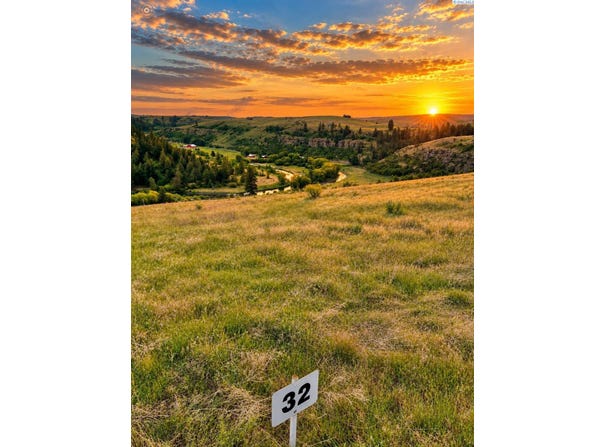 Red Tail Ridge lot: 32, Colfax, WA 99111