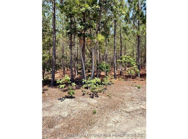 TBD 2 North Turnpike Road, Wagram, NC 28396