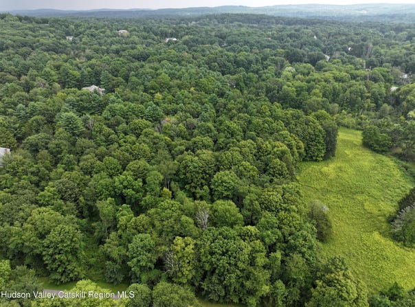 Tbd Deer Run Rd(Off Spring Lake Road, Red Hook, NY 12571