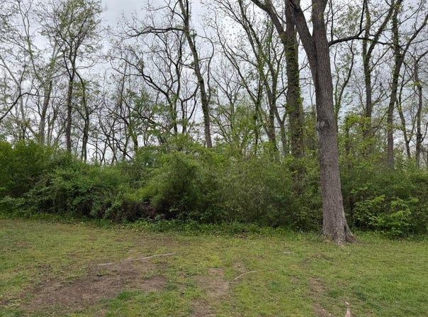 Alta Dr, Alderson, WV 24910