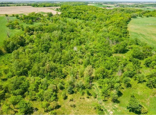 Xxx Hwy 64, Forest Twp, WI 54013