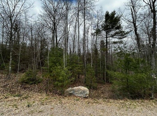 BUTTERNUT CIR lot: 21, Eagle River, WI 54521