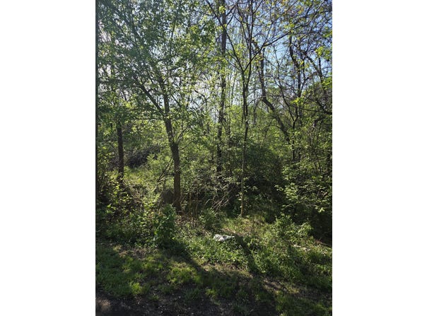 0 Archbold AVE, Roanoke, VA 24012