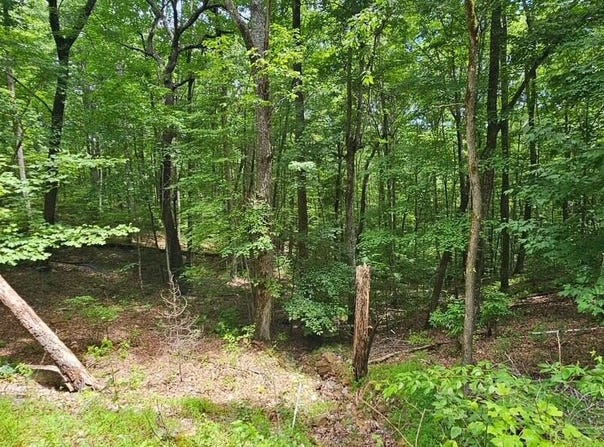 Oak Leaf Lane lot: 555, Dunlap, TN 37327