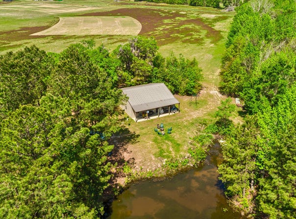 Tbd Alligator Road, Olar, SC 29843