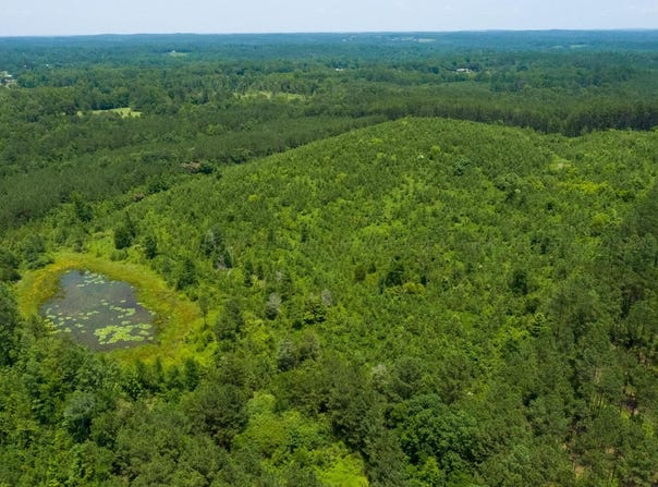 BLANTON Rd, Oakman, AL 35579