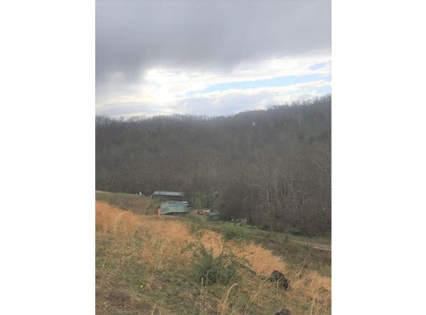 11 ACRES SPRING BRANCH, WAYNE, WV 25570
