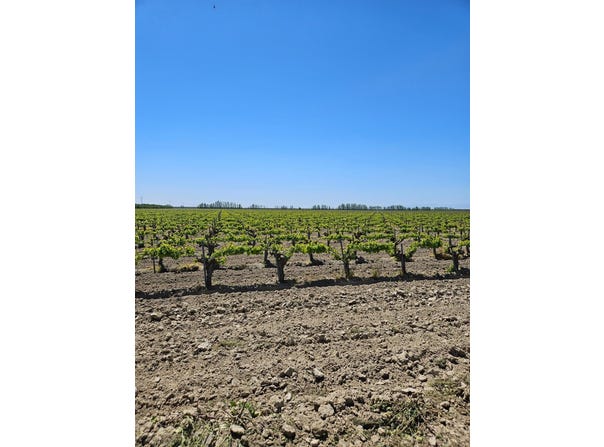 W North Avenue, Kerman, CA 93630