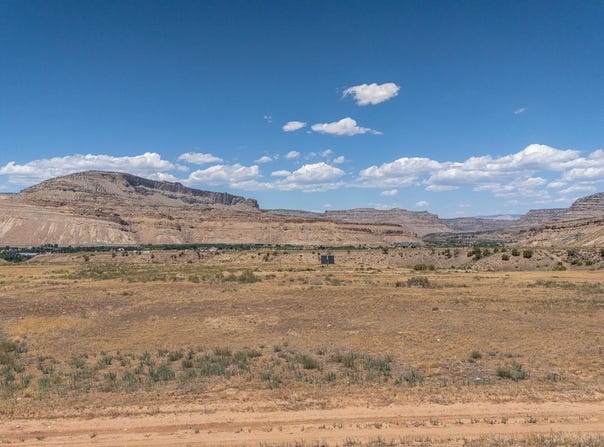 589 39 Road, Palisade, CO 81526