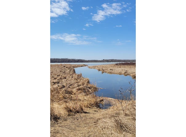 512xx Leaf River Road Tract A, Ottertail, MN 56571