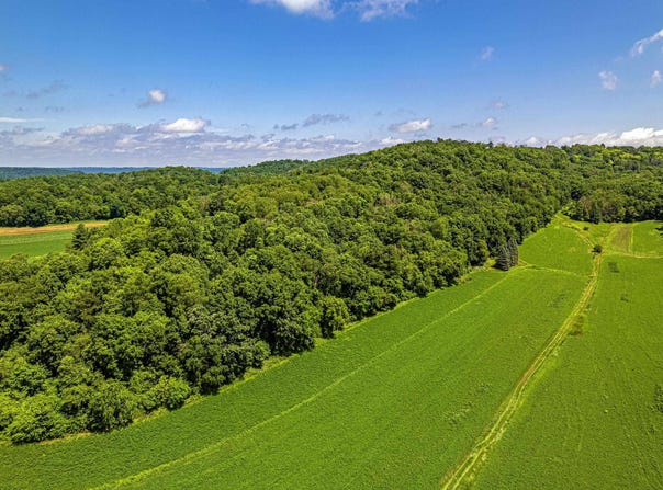 80 Acres 020-1133-000, 020-1134-0000, Richland Center, WI 53581
