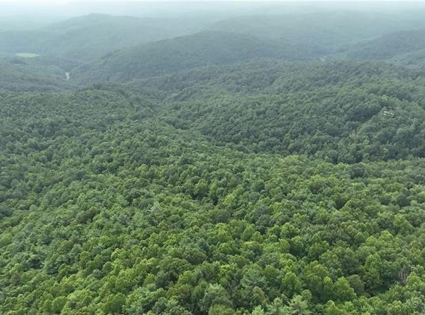 0 Griffin Lane, Millers Creek, NC 28651