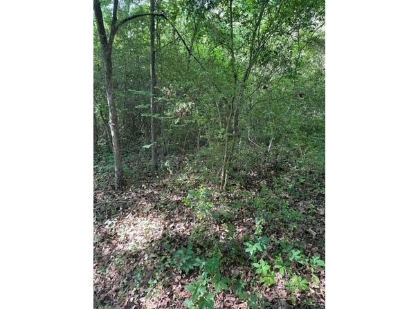 106-108 Trail Glen Dr, Mabank, TX 75156
