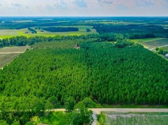 4060 County Farm Road Road, Blackshear, GA 31516