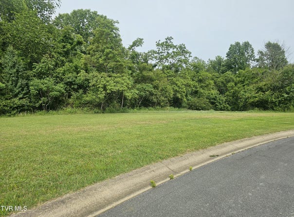 Lot 21 Bedford Circle, Greeneville, TN 37743
