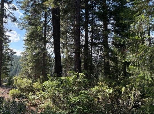 Castle Lake Rd, Shasta Lake, CA 96067