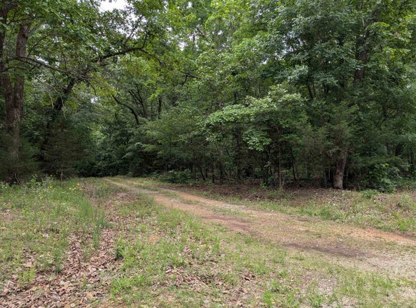 Kimberly Drive, Ozark Acres, AR 72482