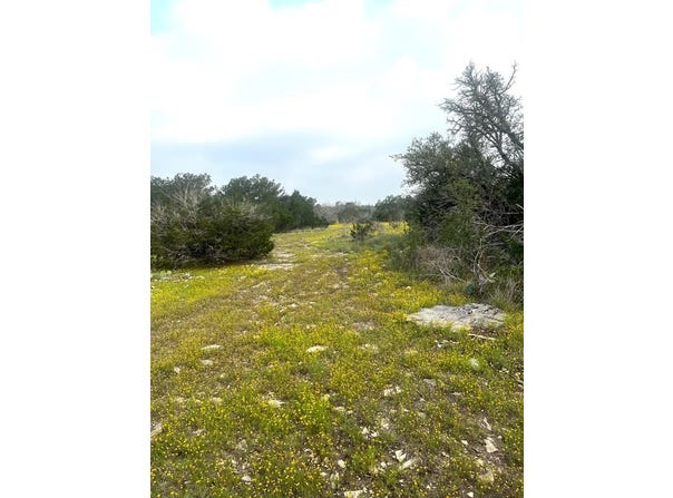 1485 Other, Rocksprings, TX 78880