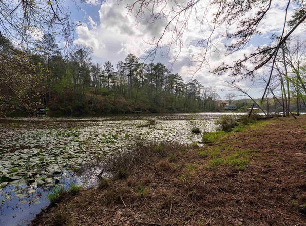 W LAKESHORE DRIVE lot: 3-E, ONEONTA, AL 35121