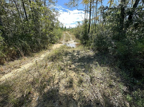 A And B Millside Road Parcel A & B, Laurel Hill, FL 32567