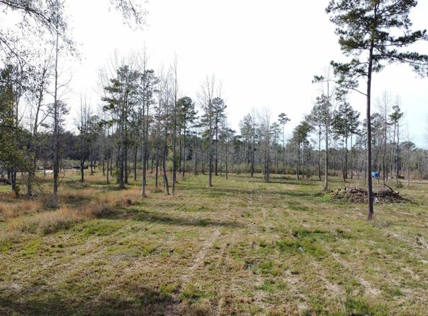 Lot 29 Tungoil Rd, Pine Grove, LA 70453