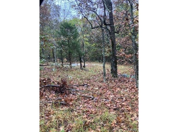 163 Madison CR 410, Fredericktown, MO 63645