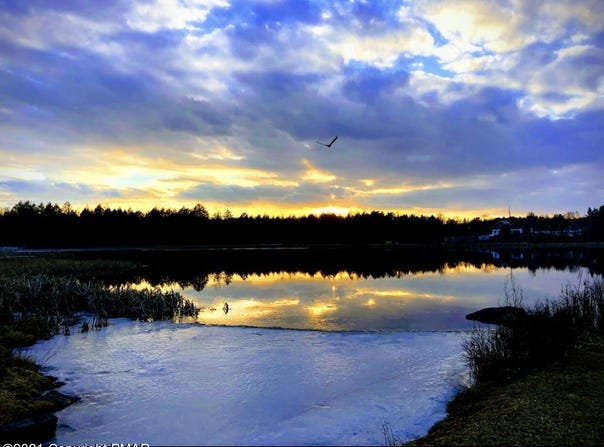 903 W Wadi Road W, Pocono Lake, PA 18347