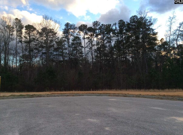 144 BROOKSIDE Parkway, Lexington, SC 29072