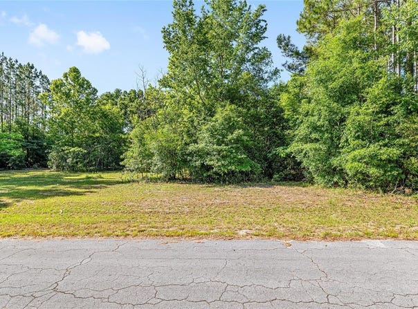 0 NW 173RD STREET, TRENTON, FL 32693