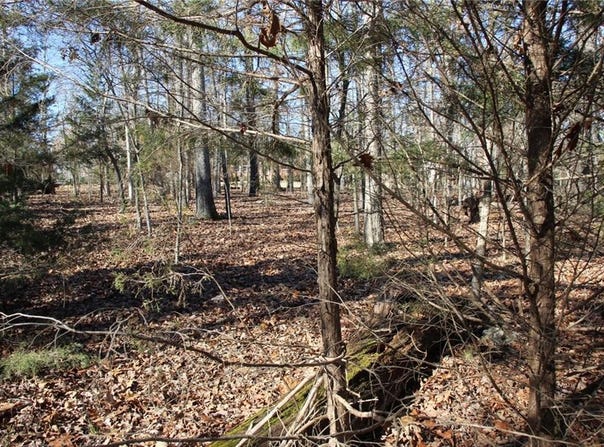 001 TBD Versailles  DR, Bull Shoals, AR 72619