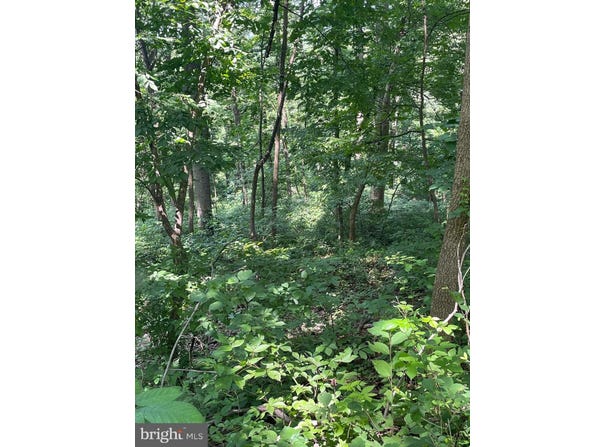WALNUT TREE CT. ROAD, FRONT ROYAL, VA 22630