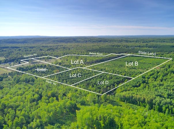 15 ACRES D WALLIN ROAD, THOMPSONVILLE, MI 49683