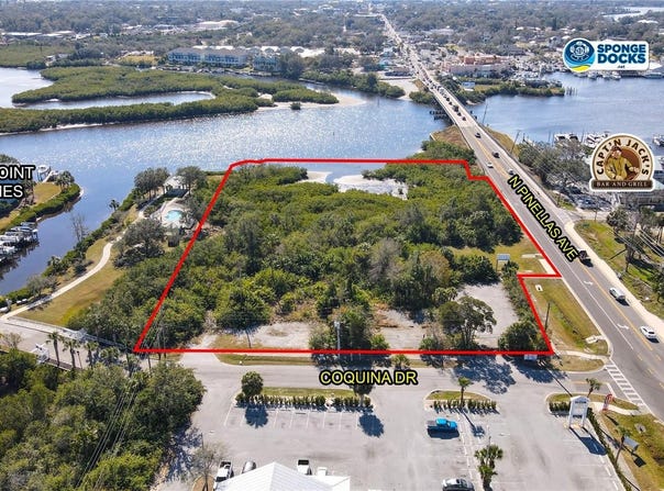 N PINELLAS AVENUE, TARPON SPRINGS, FL 34689