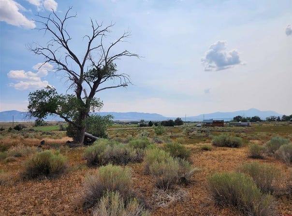 TBD Road P, Mancos, CO 81328