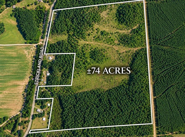 Strickland Road, Lake Park, GA 31636