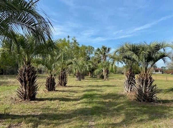 23206 NW 102ND AVENUE, ALACHUA, FL 32615