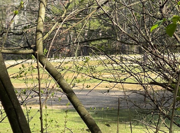 Lot 152 Mountain Ranch Drive, Fairfield Bay, AR 72088