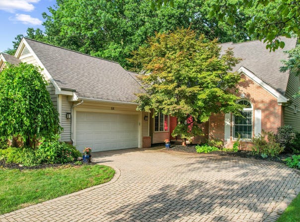 64 Chestnut Court, Chelsea, MI 48118