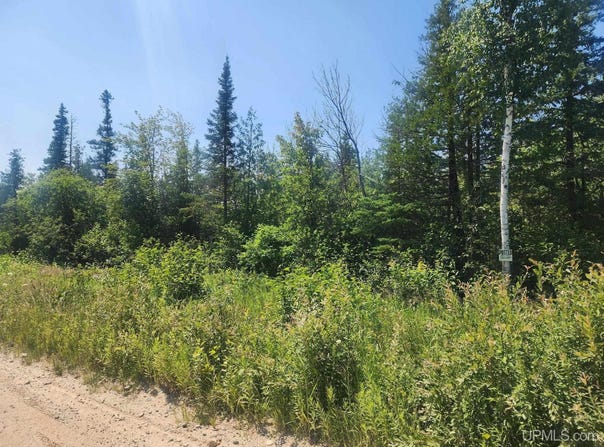 80 acres CR 415, McMillan, MI 49853