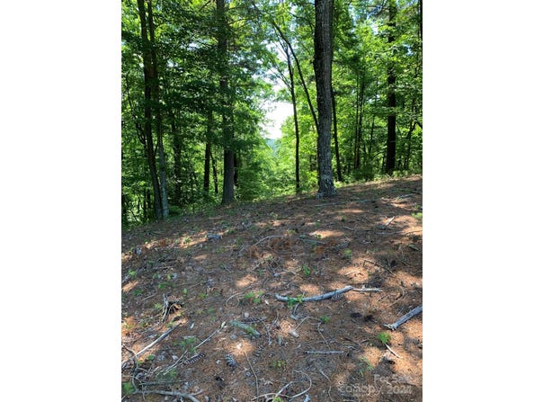 Meadow Crossing Lane lot: 201, McGrady, NC 28649