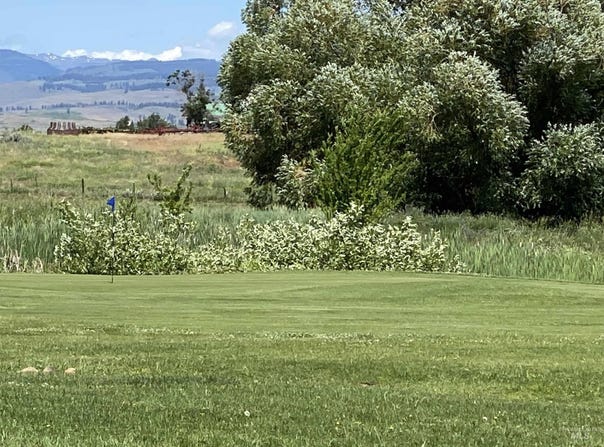 Tbd Fairway Drive C7, Council, ID 83612