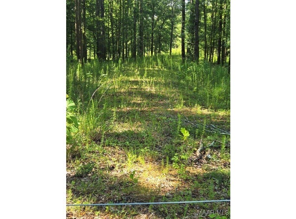 5 PUGH Road, Pike Road, AL 36052