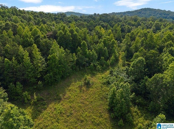 Lot #1 HIGHWAY 75, ONEONTA, AL 35121