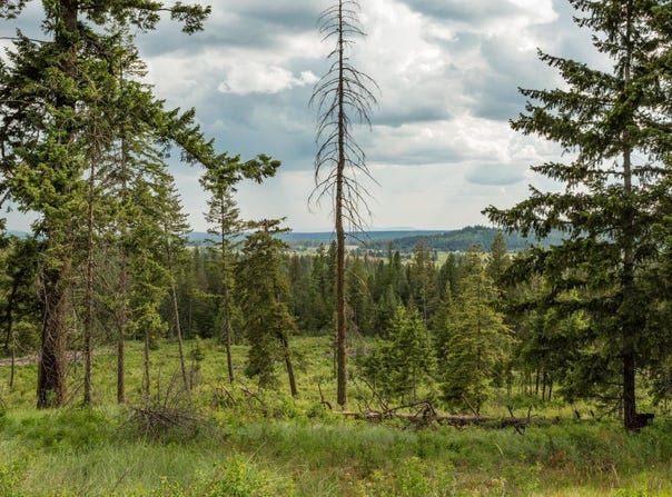 645 Juanita Ln, Elk, WA 99009